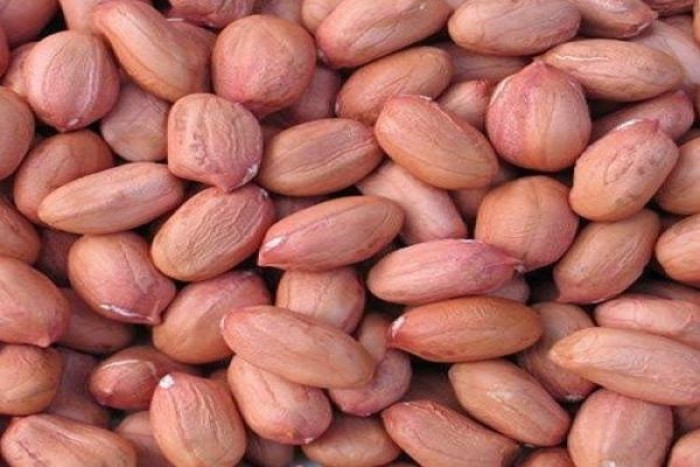 organic-red-raw-peanuts